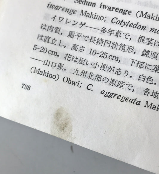 新日本植物誌 顕花篇 改訂版 / 北川正夫改訂