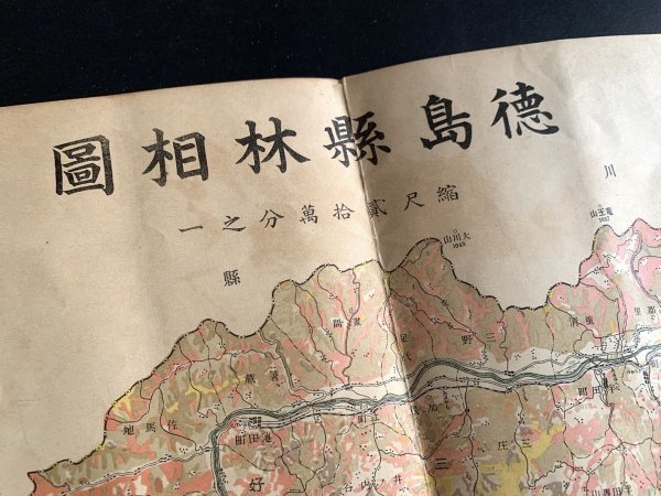 【古地図】徳島縣林相圖 明治末~大正期 森林資源調査図