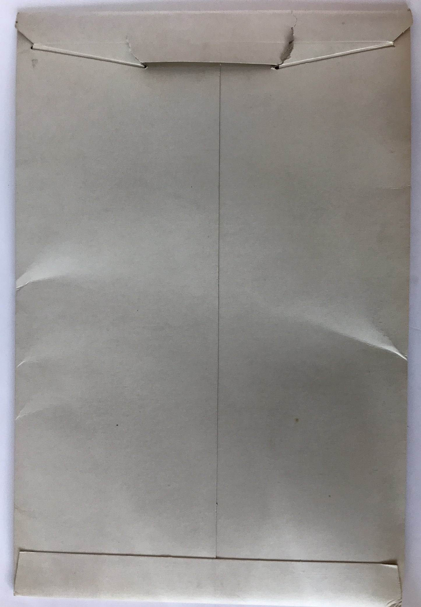 A Brian Wildsmith PORTFOLIO 出版案内付き