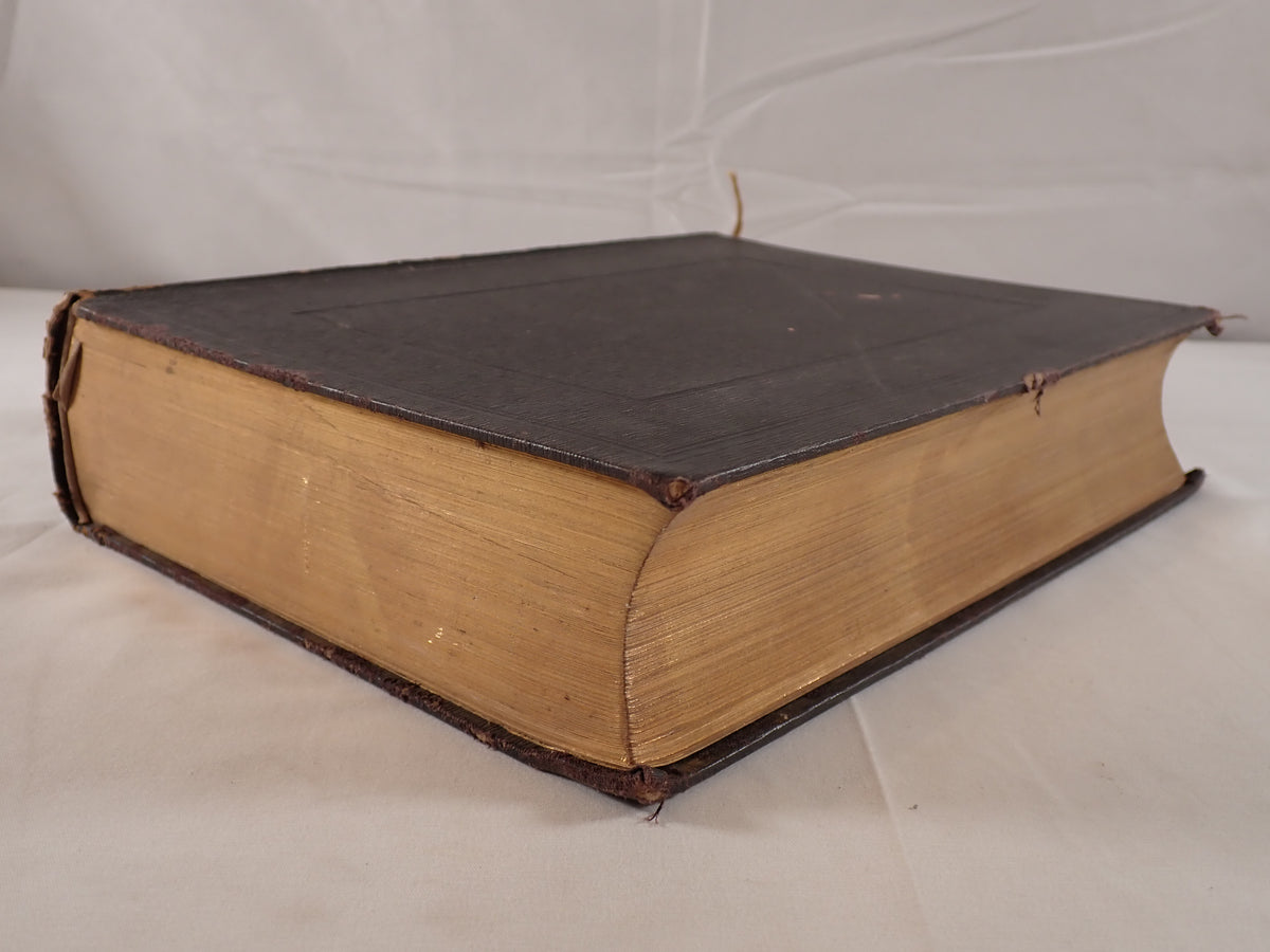 Die Heilige Schrift