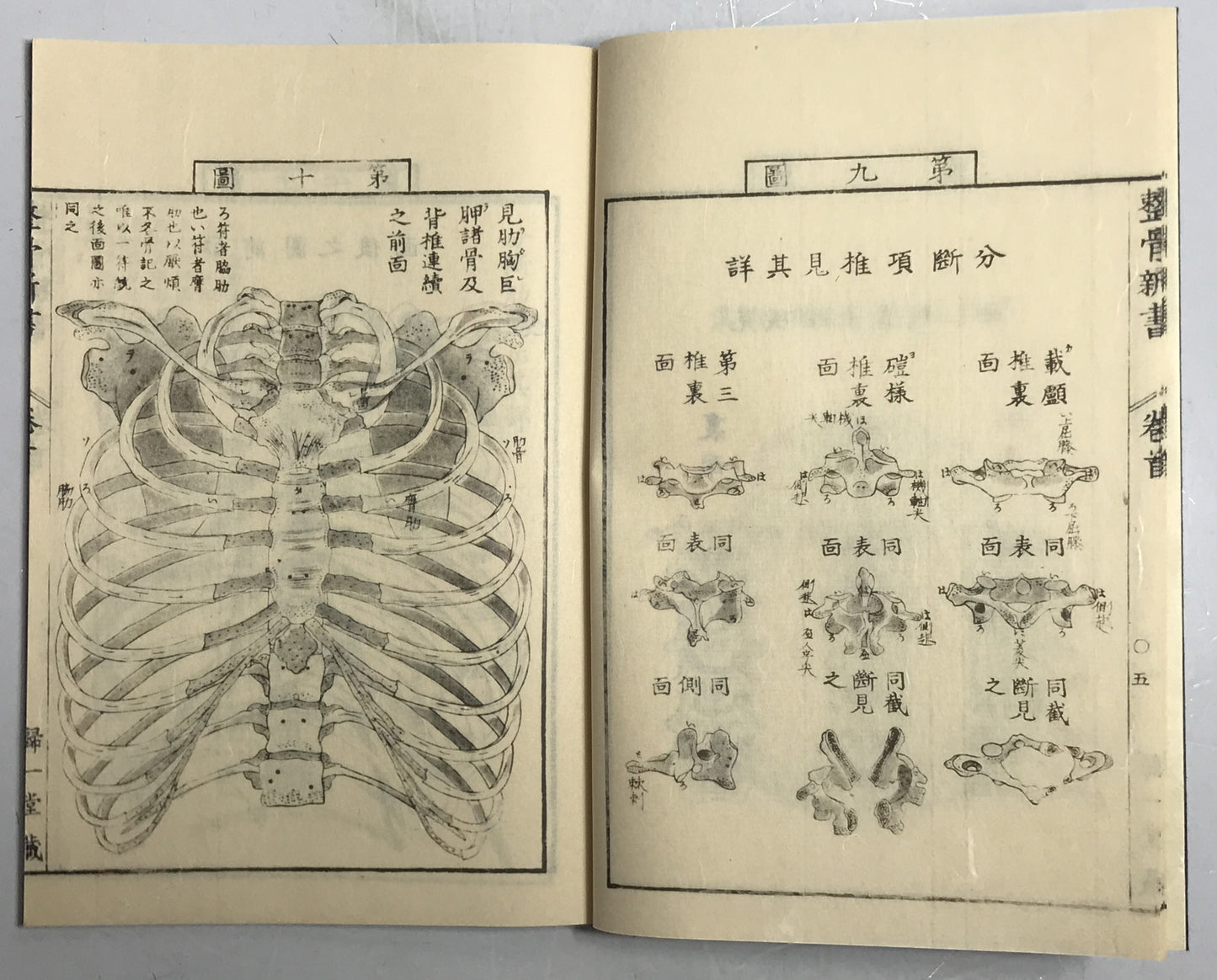 原本複製版　蘭学事始 上・下　蘭学階梯 乾・坤　和蘭医事問答 乾・坤　整骨新書(附)各骨眞形図１冊