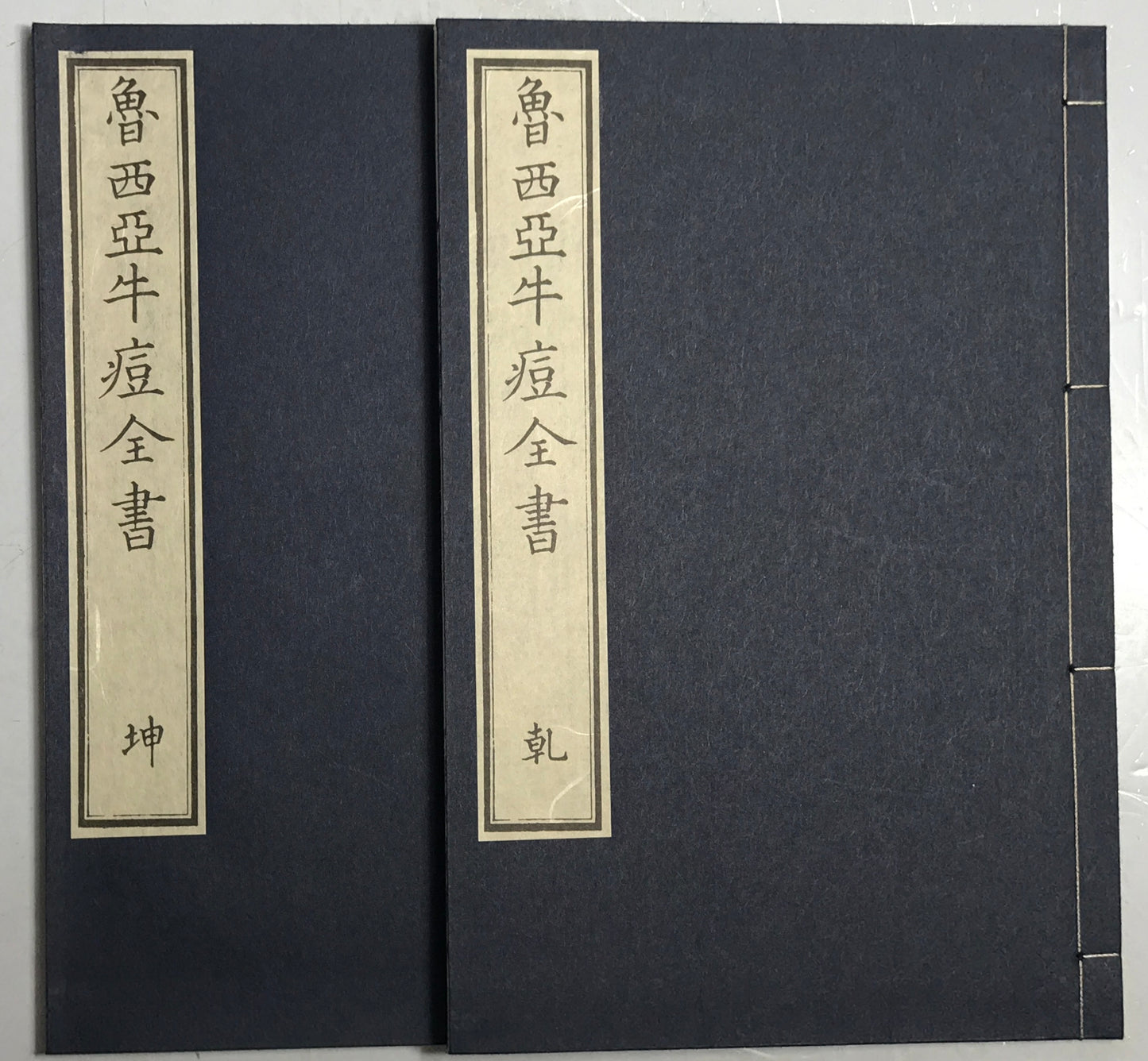 原本複製版　病学通論・虎狼痢治準・魯西亜牛痘全書・外科新編　全9冊