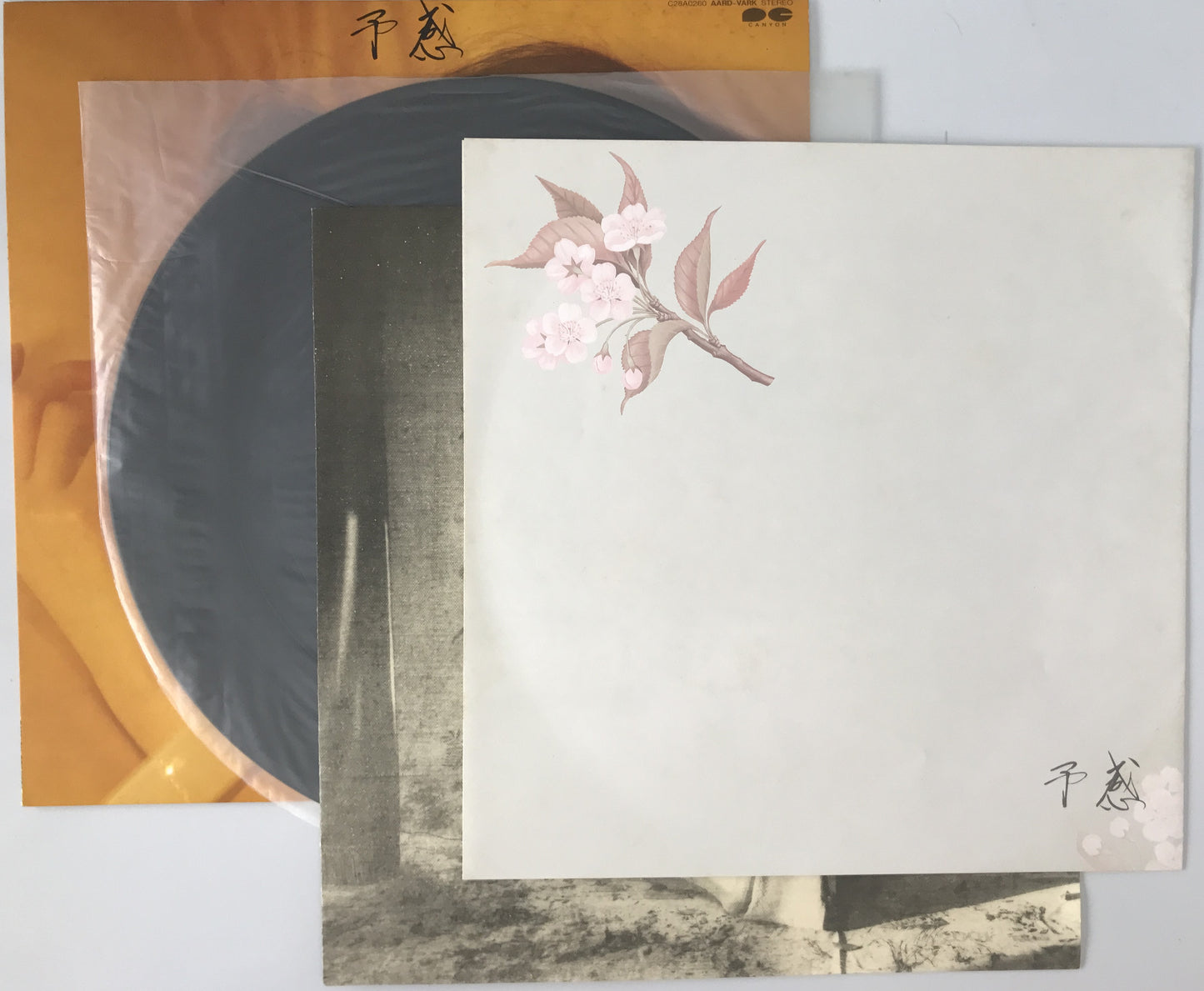 レコード　予感　C28A0260