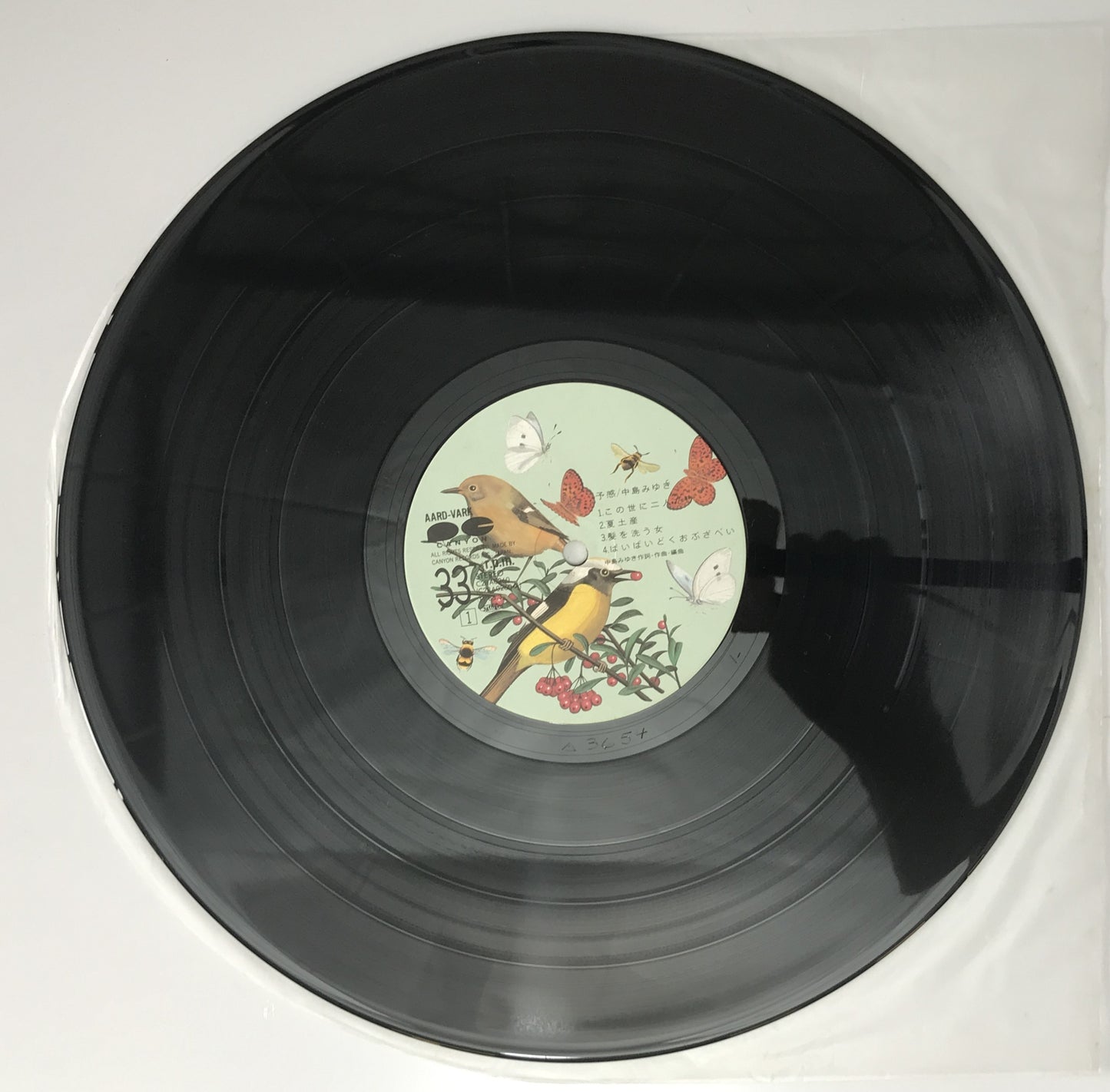 レコード　予感　C28A0260