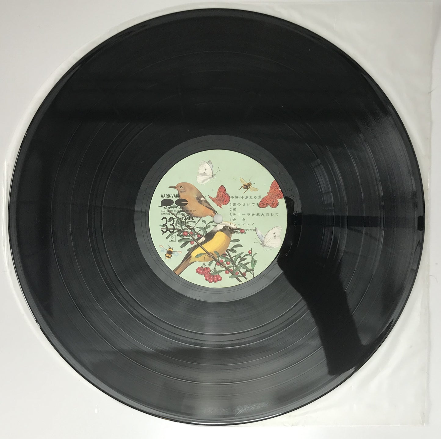 レコード　予感　C28A0260