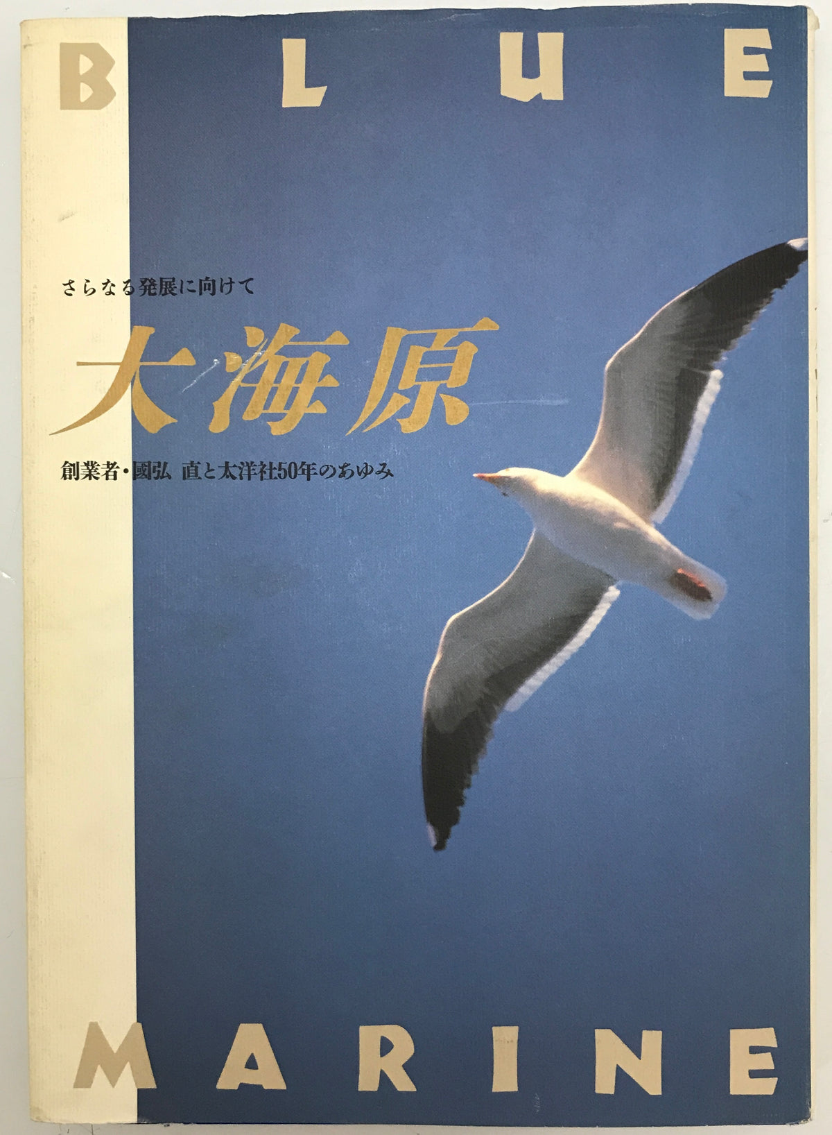 大海原 : さらなる発展に向けて 創業者・国弘直と太洋社50年のあゆみ