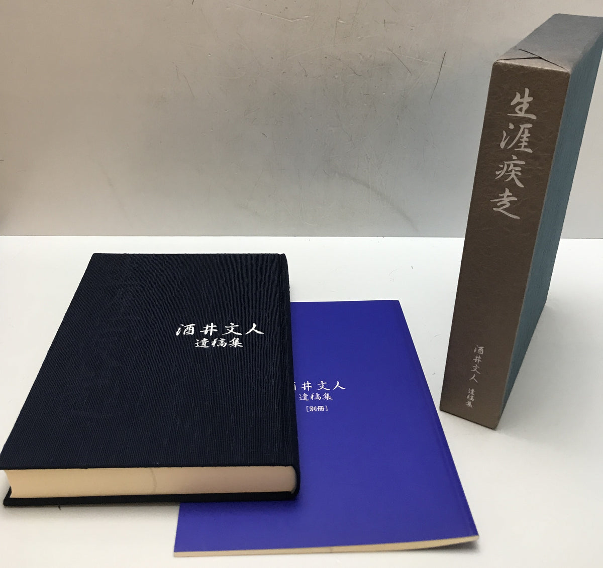 生涯疾走 : 酒井文人遺稿集