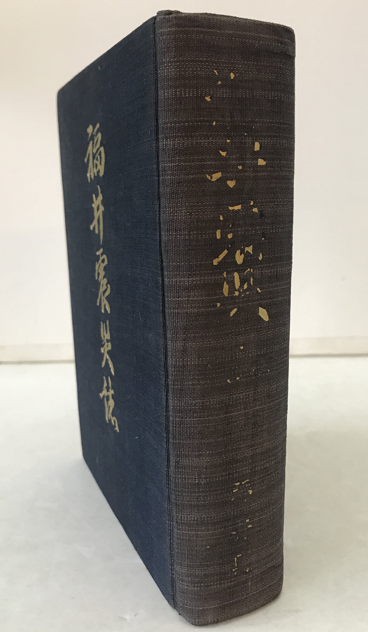 福井震災誌