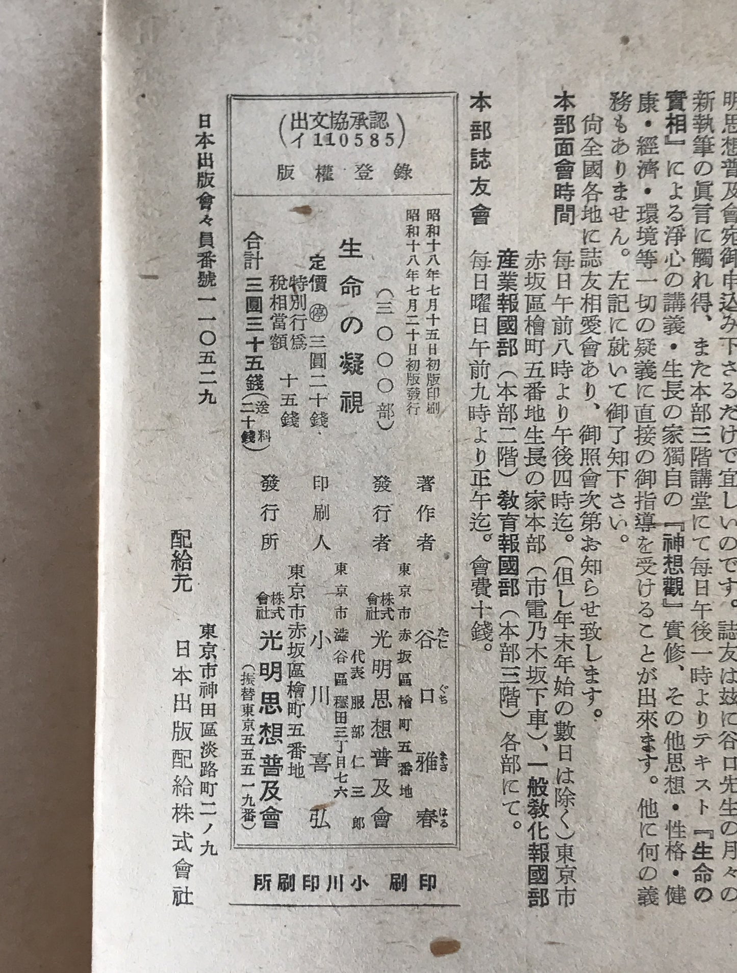 生命の凝視