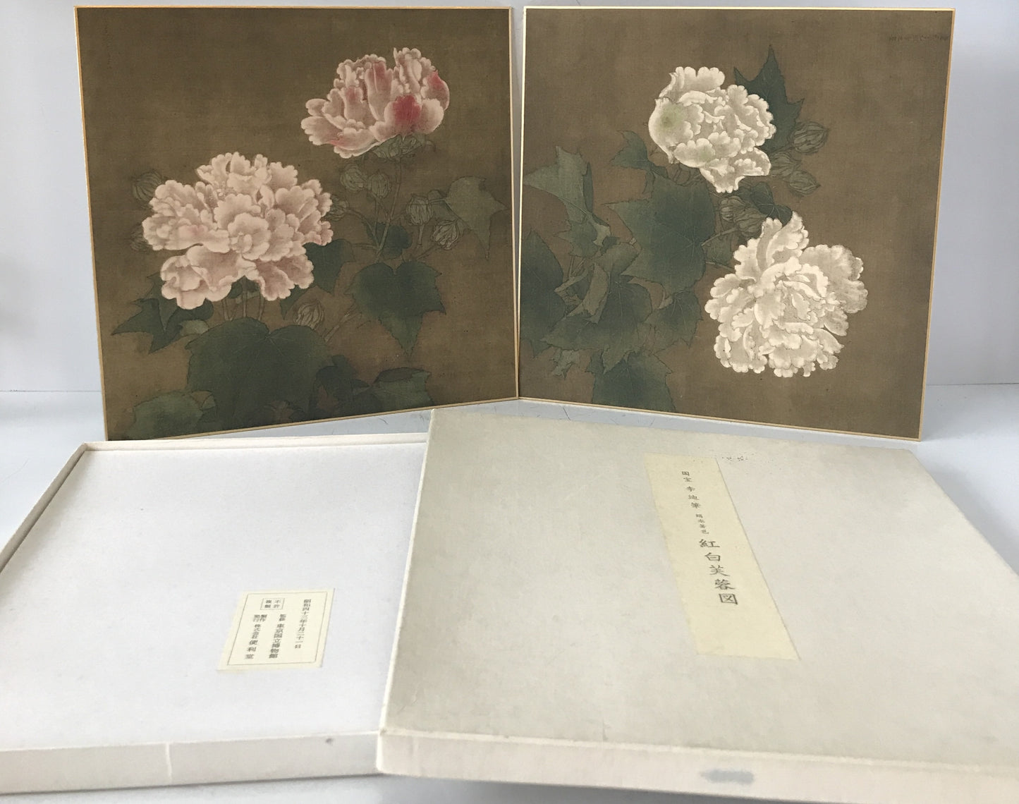 紅白芙蓉図(白) : 国宝