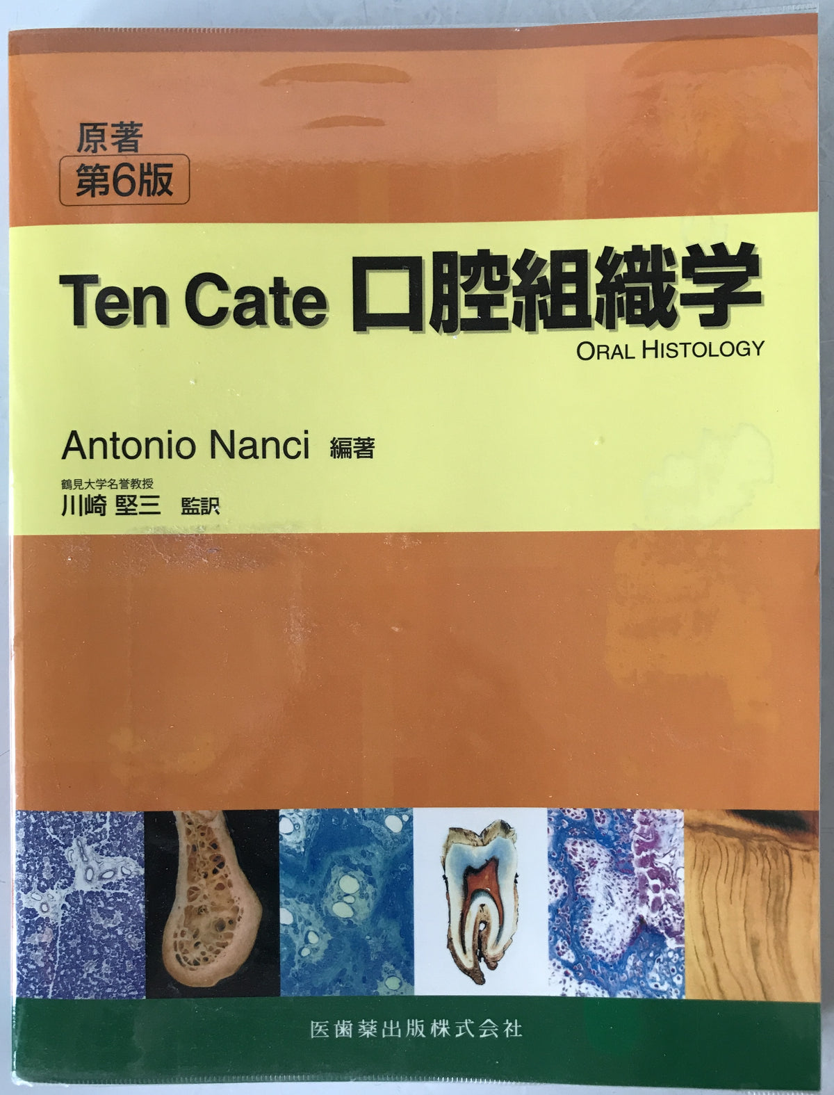 Ten Cate口腔組織学