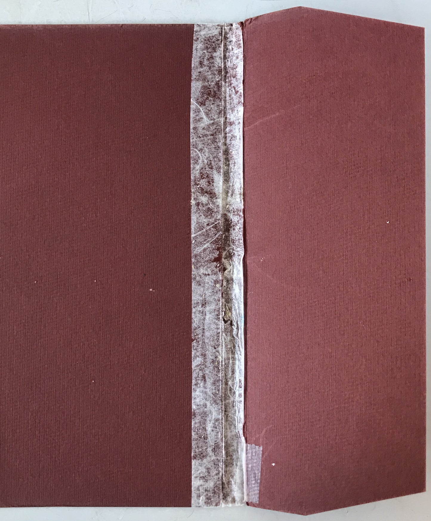 Le papyrus de nefer renpet　Un Livre des Morts de la XVIIIme dynastie (フランス語)