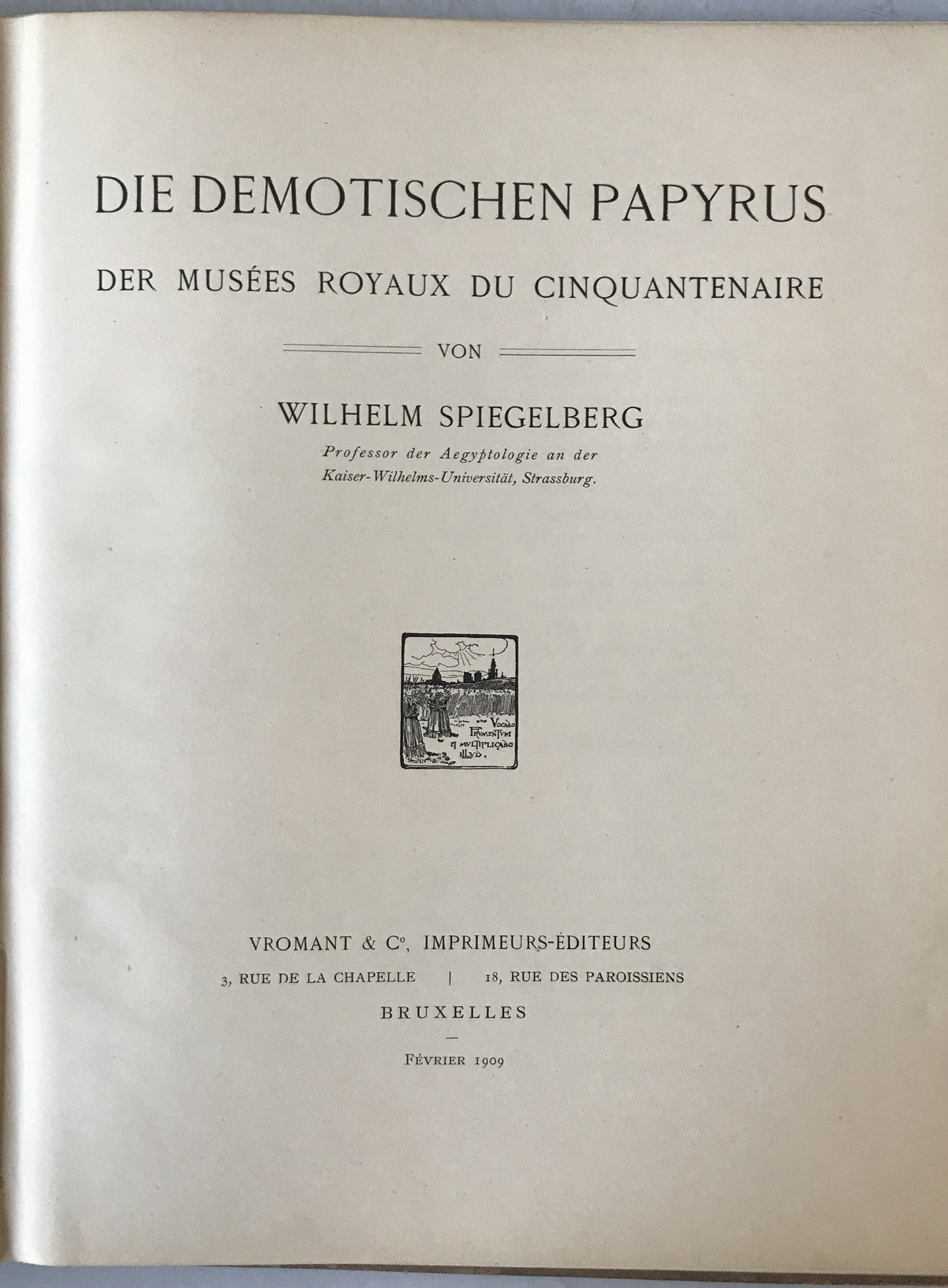 Die demotischen Papyrus der Mus?es Royaux du Cinquantenaire (フランス語)