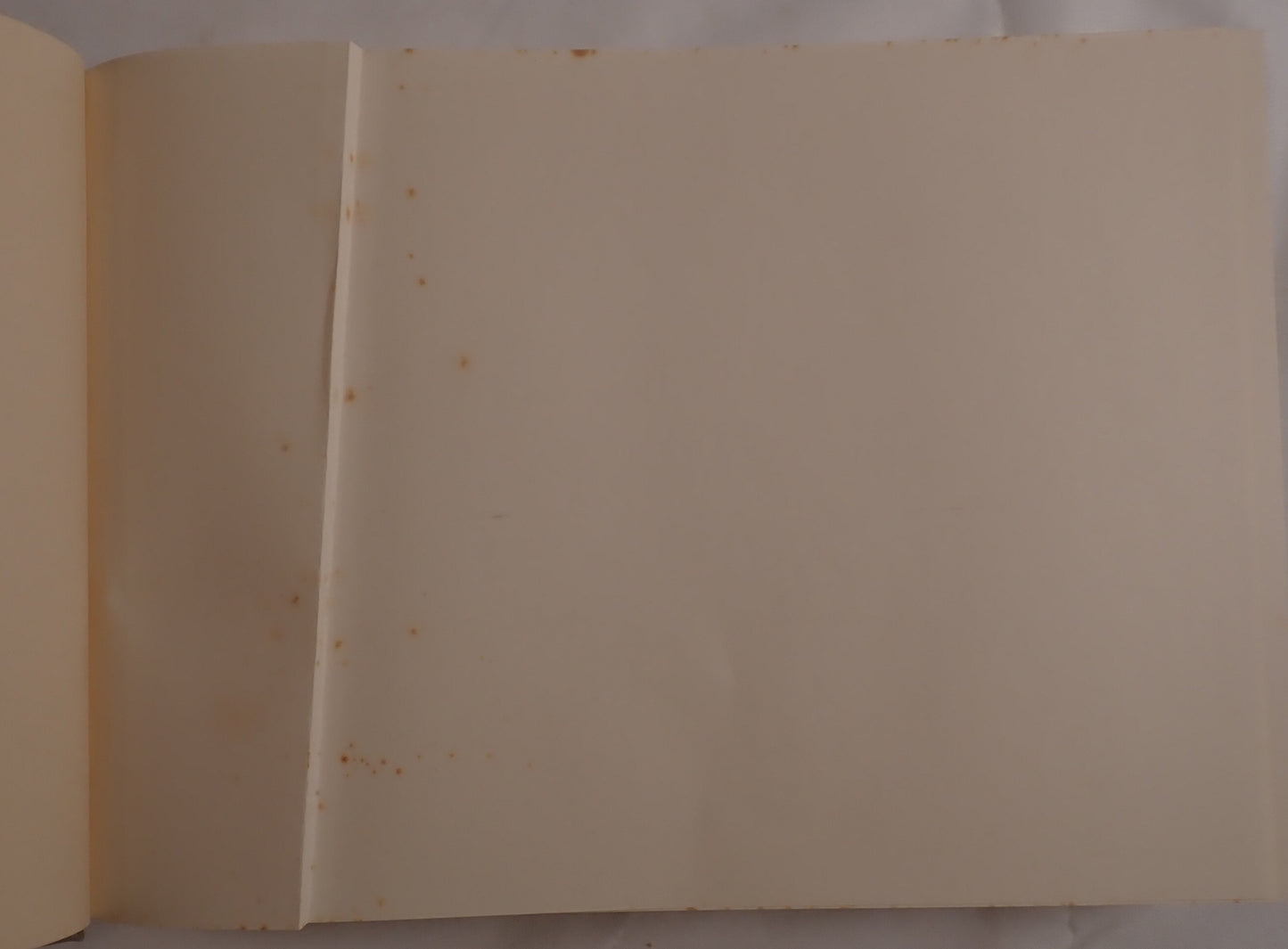 明月記 2冊揃え