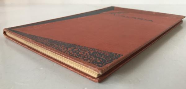 MALARIA AND QUININE 1927 Amsterdam Early Public Health Art Deco Book