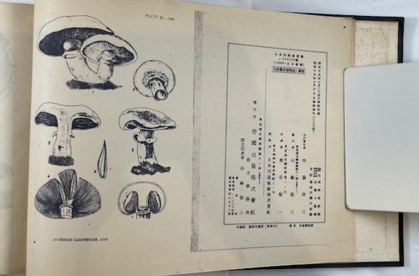 EXTREMELY RARE WWII Japanese Edition. "INDIAN MEDICINAL PLANTS" 3-Vol Set - Limited to 200 Copies