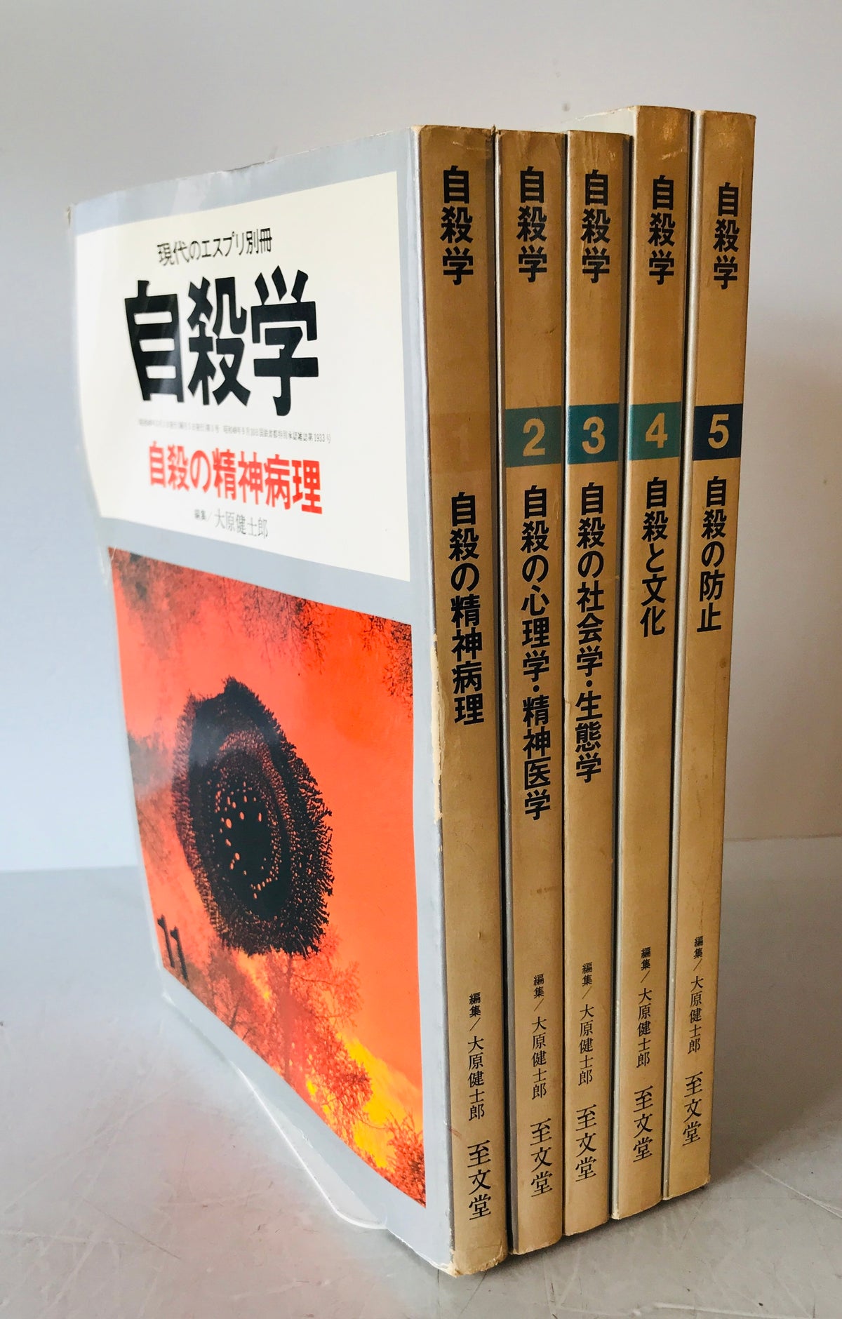 現代のエスプリ別冊　自殺学 全5巻