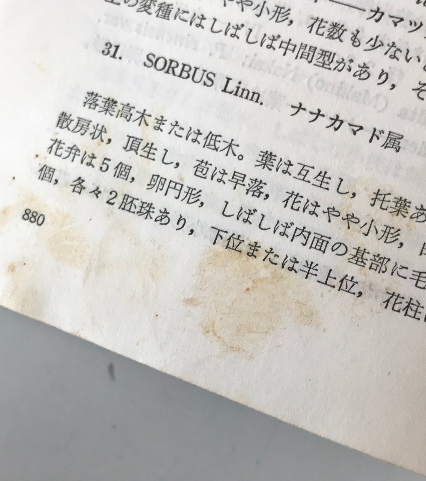 新日本植物誌　顕花篇　改訂版 / 北川正夫改訂