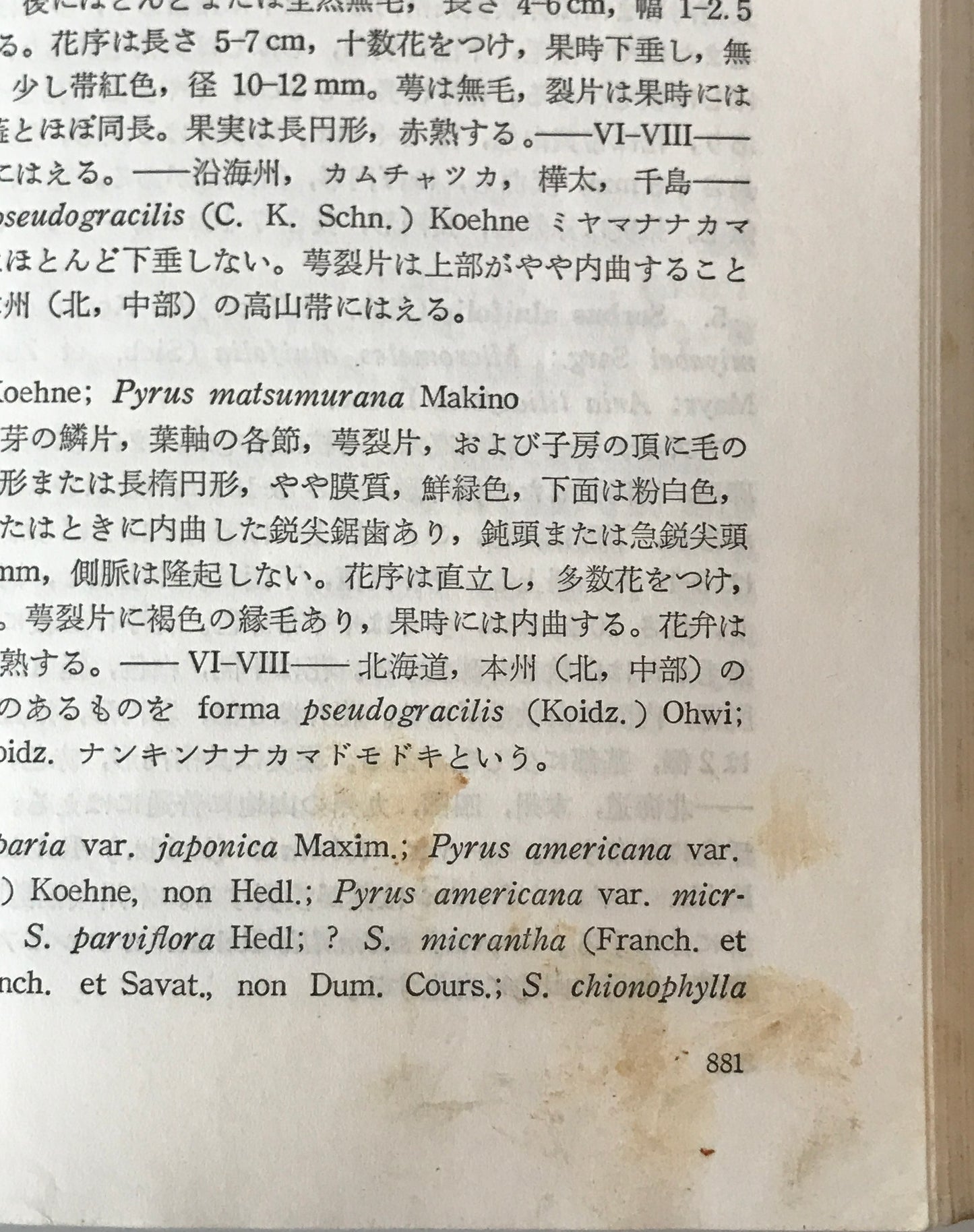 新日本植物誌　顕花篇　改訂版 / 北川正夫改訂