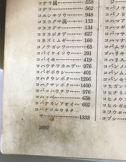 新日本植物誌