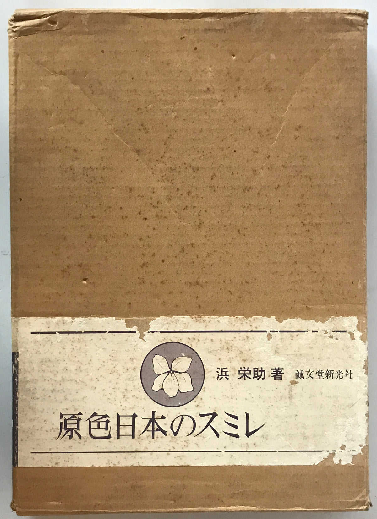 原色日本のスミレ