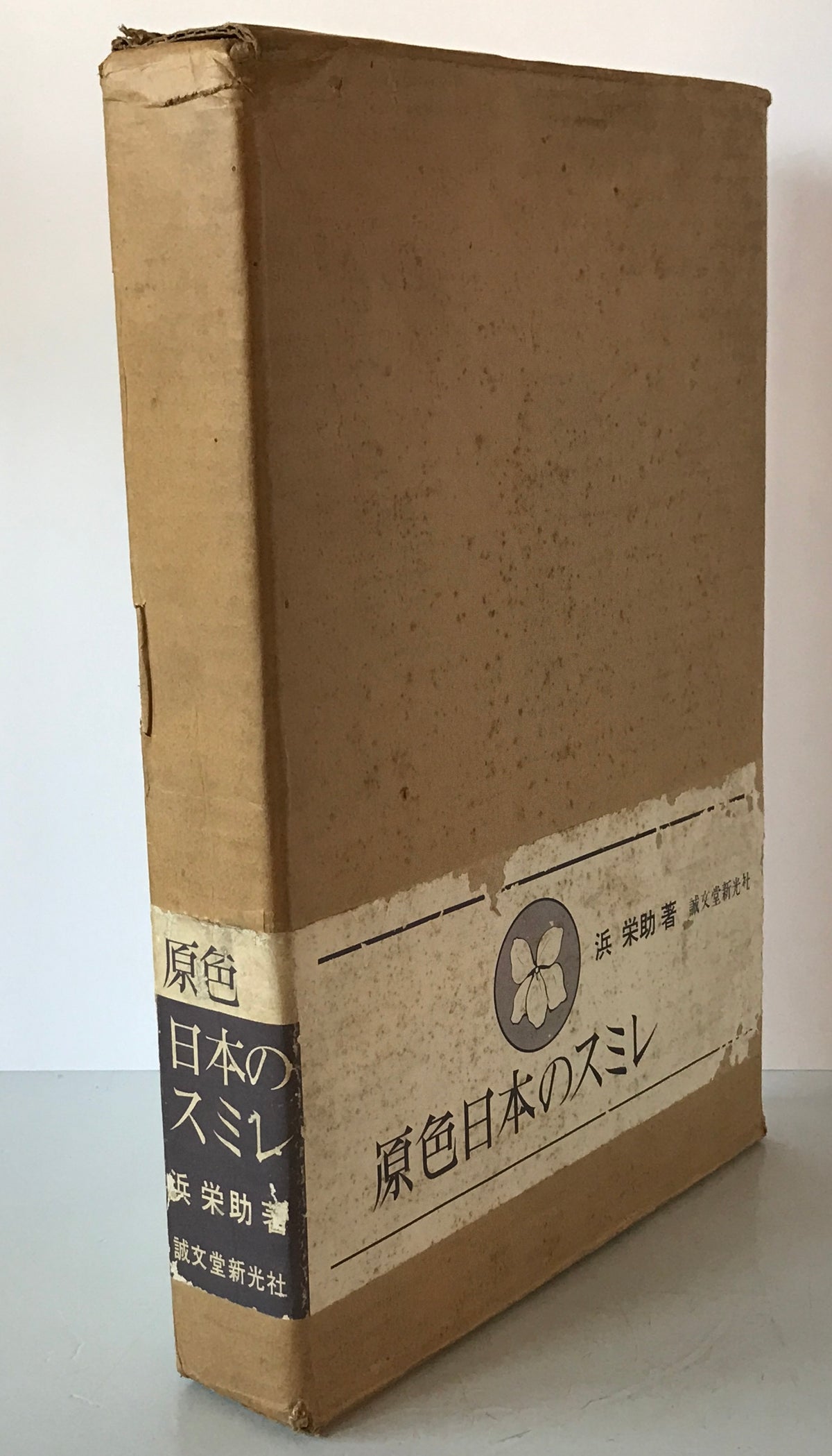 原色日本のスミレ