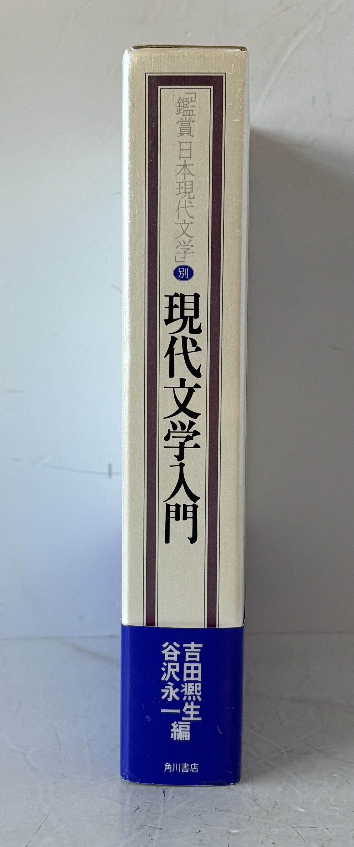 反応性モノマーの新展開 : 合成法,反応性の特徴,応用の現状と今後の可能性