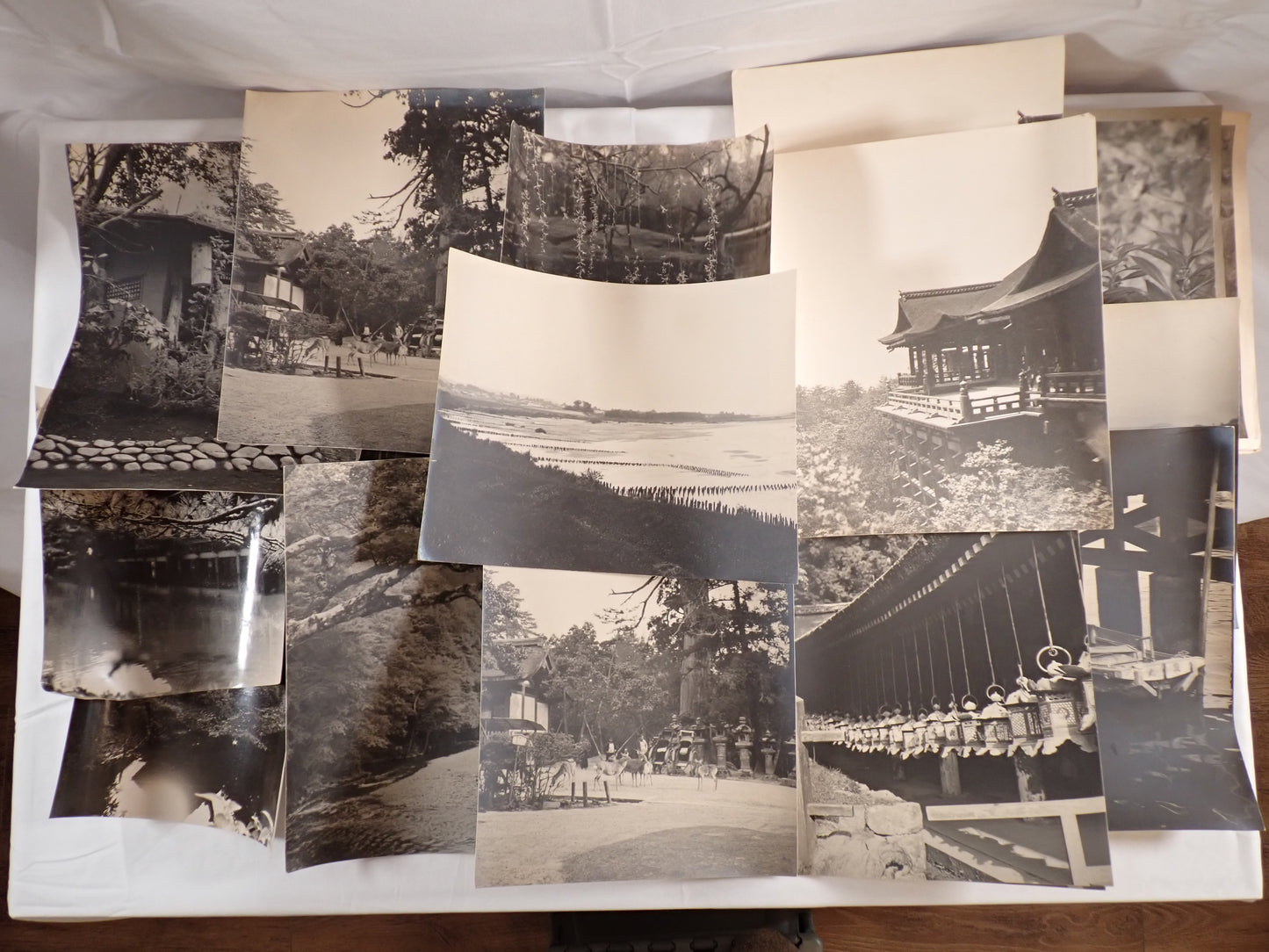 昭和期 古写真20枚組 風景・社寺・植物／撮影者「野村長男」印あり／大型プリント