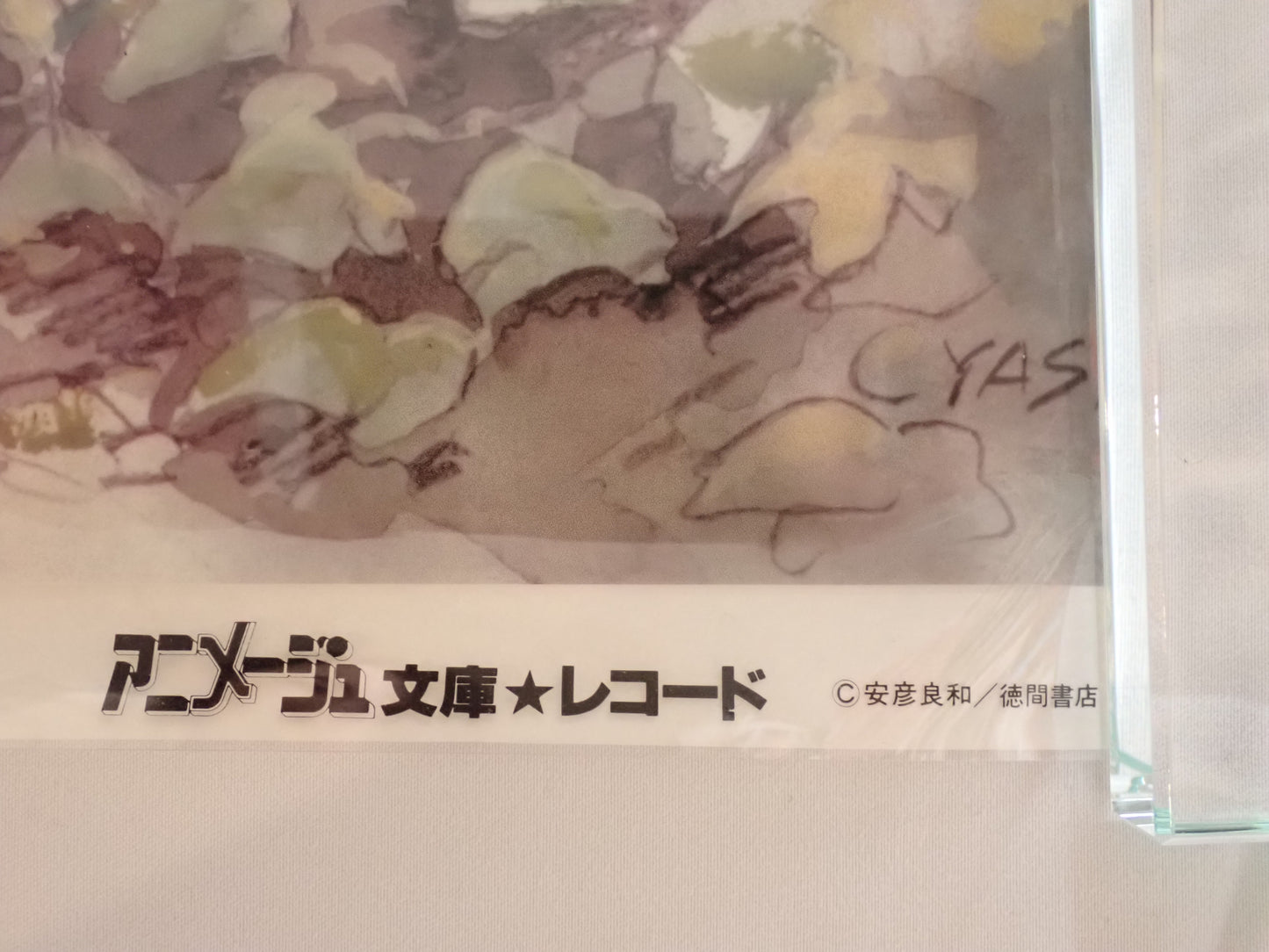 安彦良和『アリオン』印刷用ポジフィルム（透明原稿）｜アニメージュ文庫・レコード広告用｜徳間書店