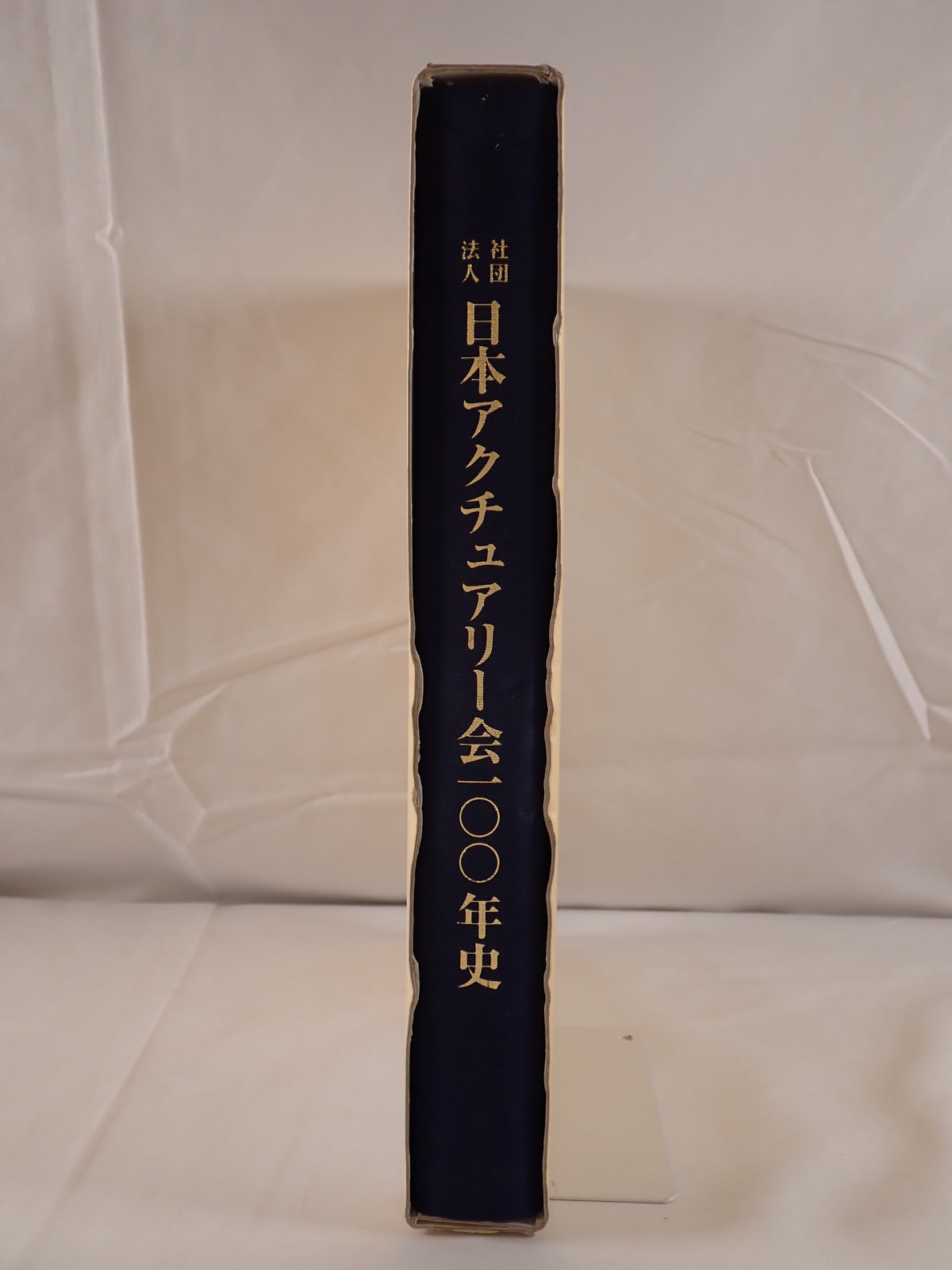 社団法人日本アクチュアリー会100年史